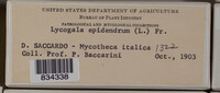 Image Associated With the Occurence